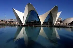 Cursos para grupos 3 oceanografic in valencia