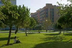 Escola de Espanhol de Verão para Adolescentes em Valência 5